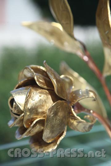2012.06.21_10.04.30.jpg