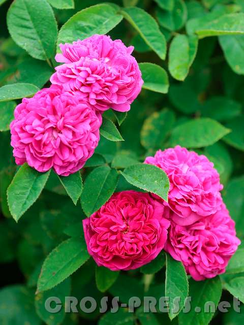 2016.06.11_11.25.35.JPG
