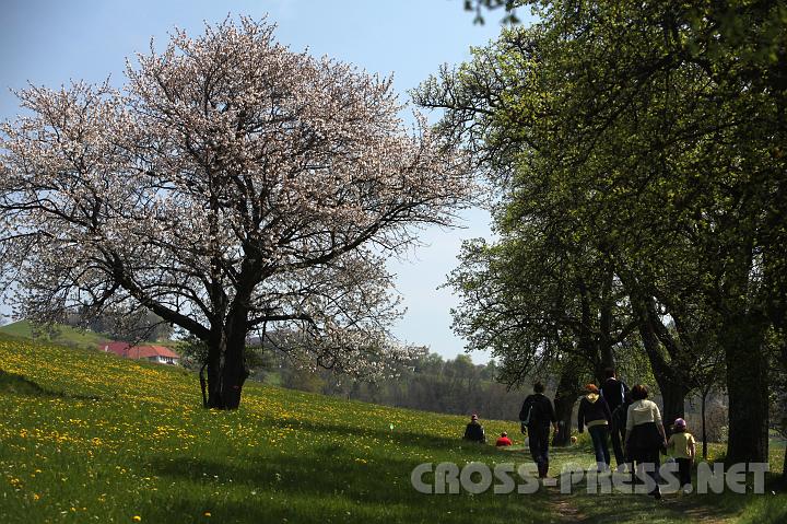 2010.04.25_11.38.17.jpg