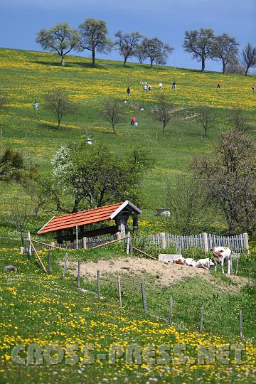 2010.04.25_11.46.46.jpg