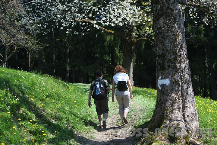 2010.04.25_11.49.14.jpg