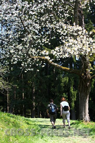 2010.04.25_11.49.23.jpg