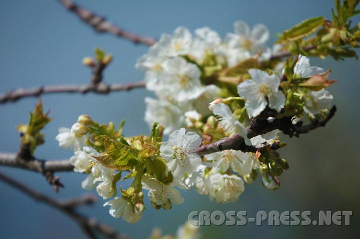 2010.04.25_11.50.30.jpg