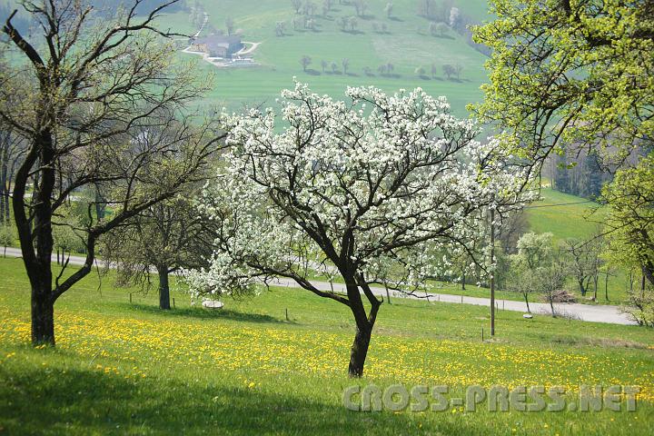2010.04.25_11.50.42.jpg