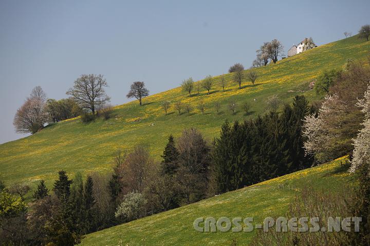 2010.04.25_11.56.23.jpg