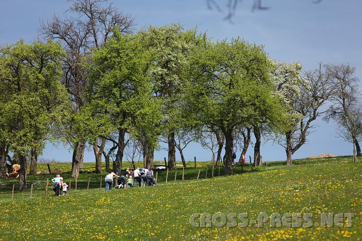 2010.04.25_12.00.40.jpg