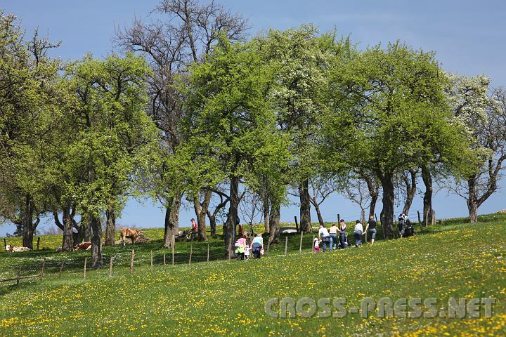 2010.04.25_12.00.58.jpg