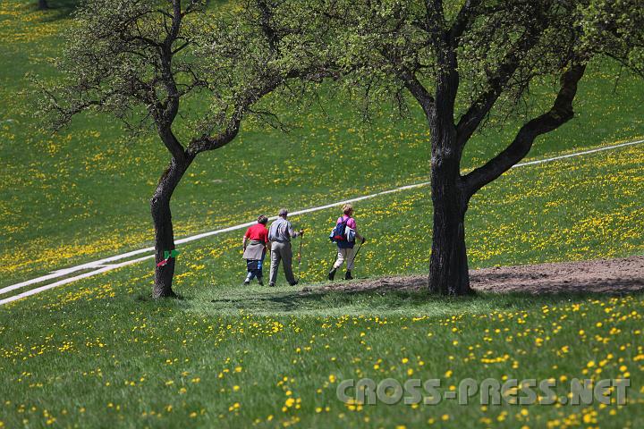 2010.04.25_12.16.53.jpg