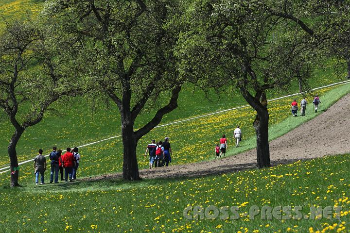2010.04.25_12.17.53.jpg