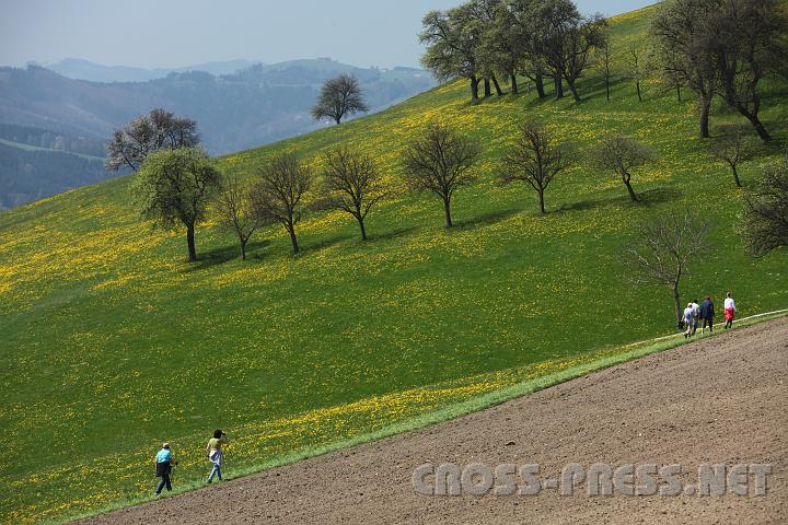 2010.04.25_12.20.09.jpg