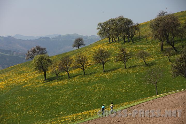 2010.04.25_12.20.23.jpg