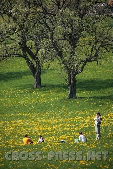 2010.04.25_15.30.54.jpg