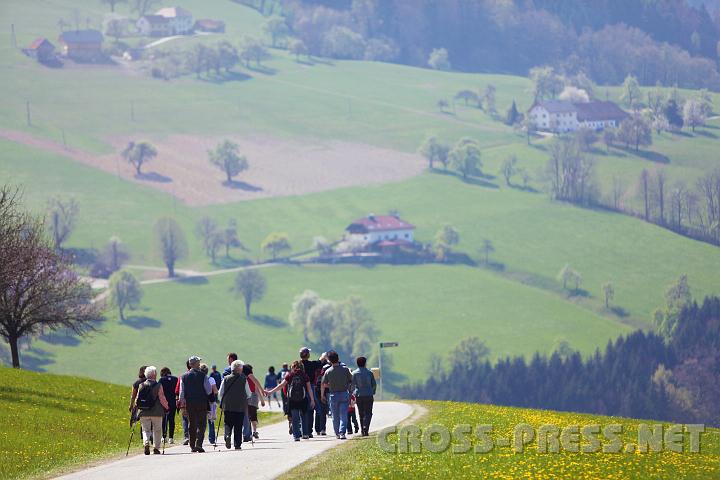 2010.04.25_10.58.26.jpg - Wie auf einer Riesenleinwand hngt die wunderschne Mostviertel-Voralpen-Landschaft vor den Wanderern.