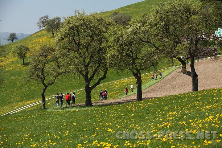 2010.04.25_12.17.55.jpg - Quer durch die blhenden Wiesen waren breite Wege ausgemht worden, sodass nur selten die asphaltierten Gterwege benutzt werden mussten.