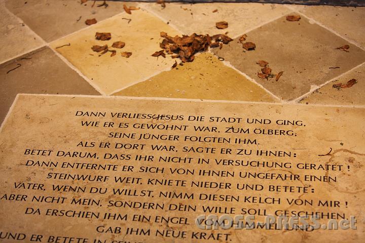 2011.10.15_12.30.28.jpg