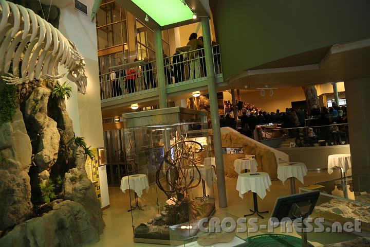 2013.02.23_16.31.42.jpg