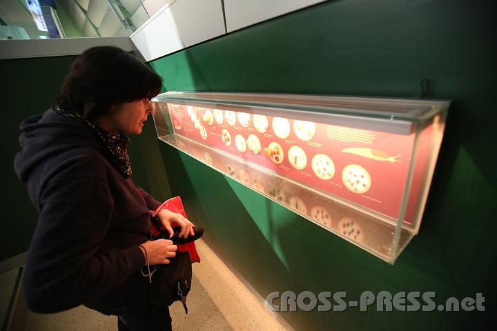 2013.02.23_18.21.23.jpg