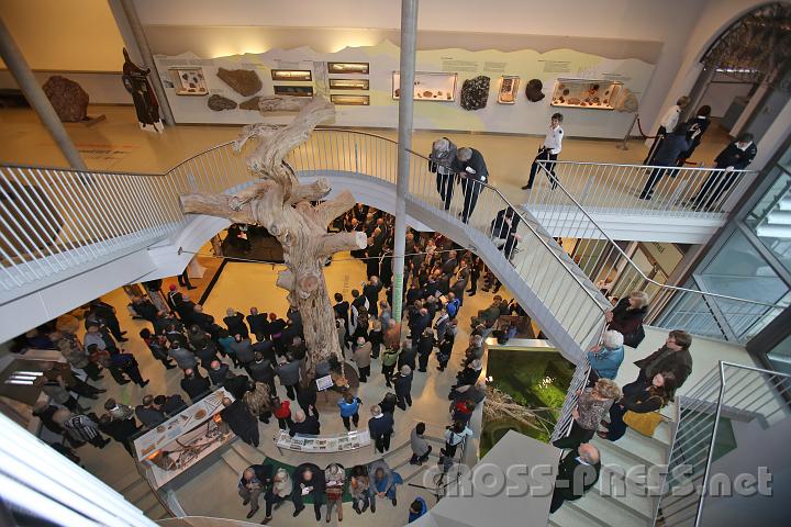 2013.02.23_16.19.45.jpg - Eindrucksvoller Blick ins NÖ Landesmuseum. Nach Plänen von Hans Hollein (2002) und der Architektengruppe RATAPLAN (2009) gebaut, vereint es auf neuartige Weise Geschichte, Kunst und Natur. Im unteren Bereich fand die Eröffnung der Ausstellung statt, die oben rechts durch das große schmiedeeiserne Tor betreten wird.