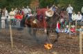 06.09.18_033 In vollem Galopp mit Sbel brennenden Ring erwischen ...